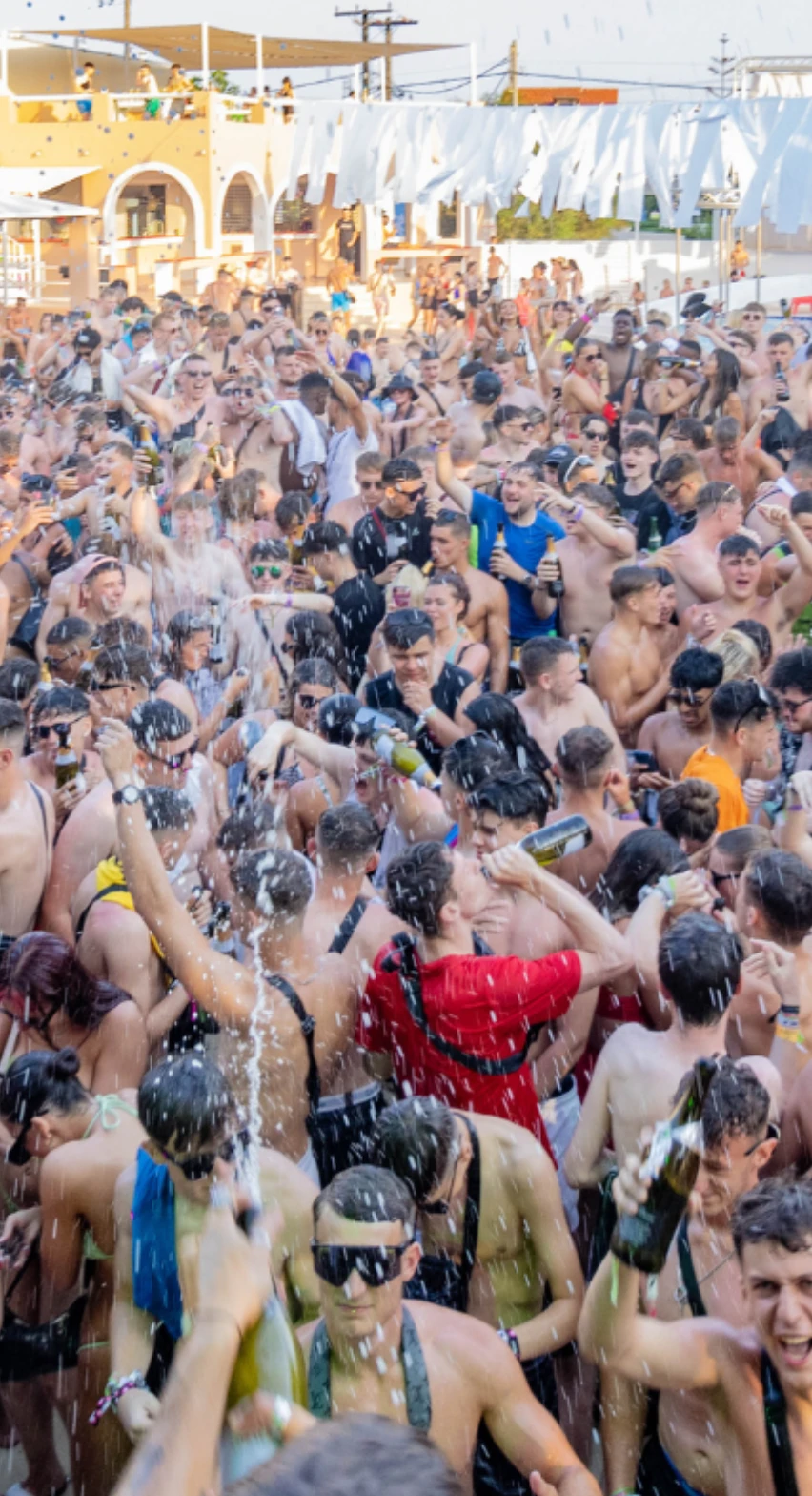 852x1569 mobile header champagne