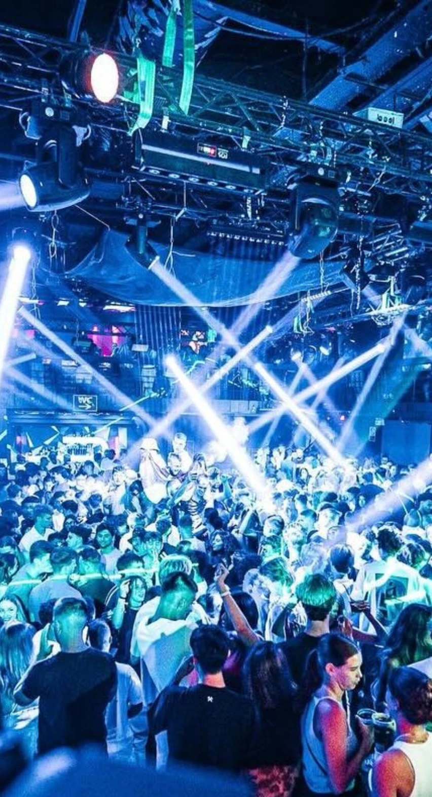 Charlie Sloth 852x1569 mobile header