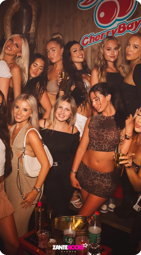 Bible and Rocks Friends